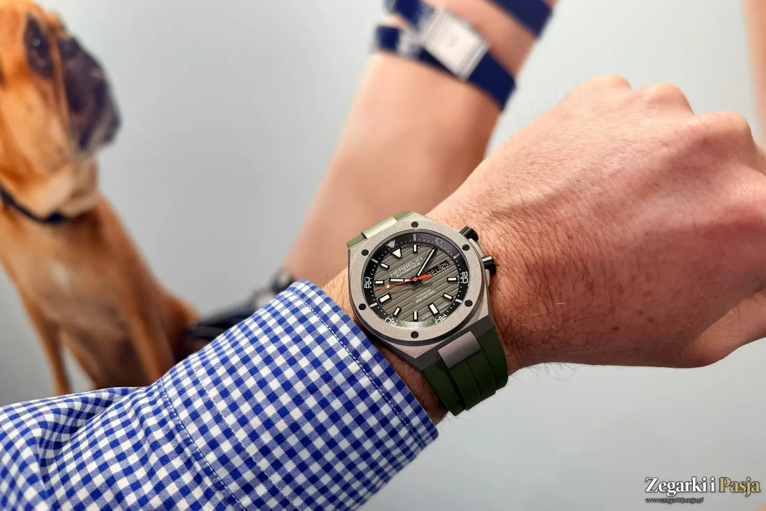 Herbelin Cap Camarat Diver Automatic Titanium