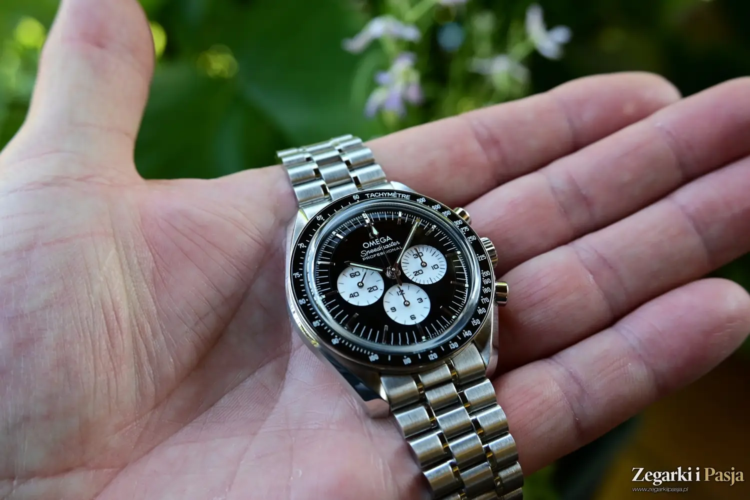 Recenzja Omega Speedmaster Moonwatch “Panda Dial” 310.30.42.50.01.004