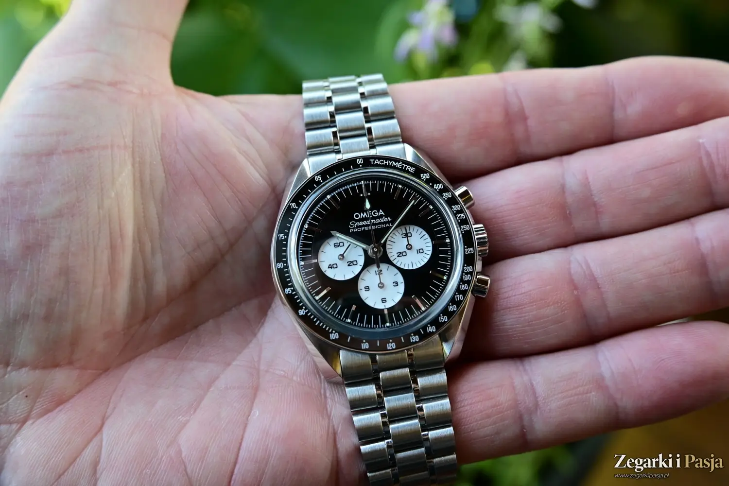 Recenzja Omega Speedmaster Moonwatch “Panda Dial” 310.30.42.50.01.004