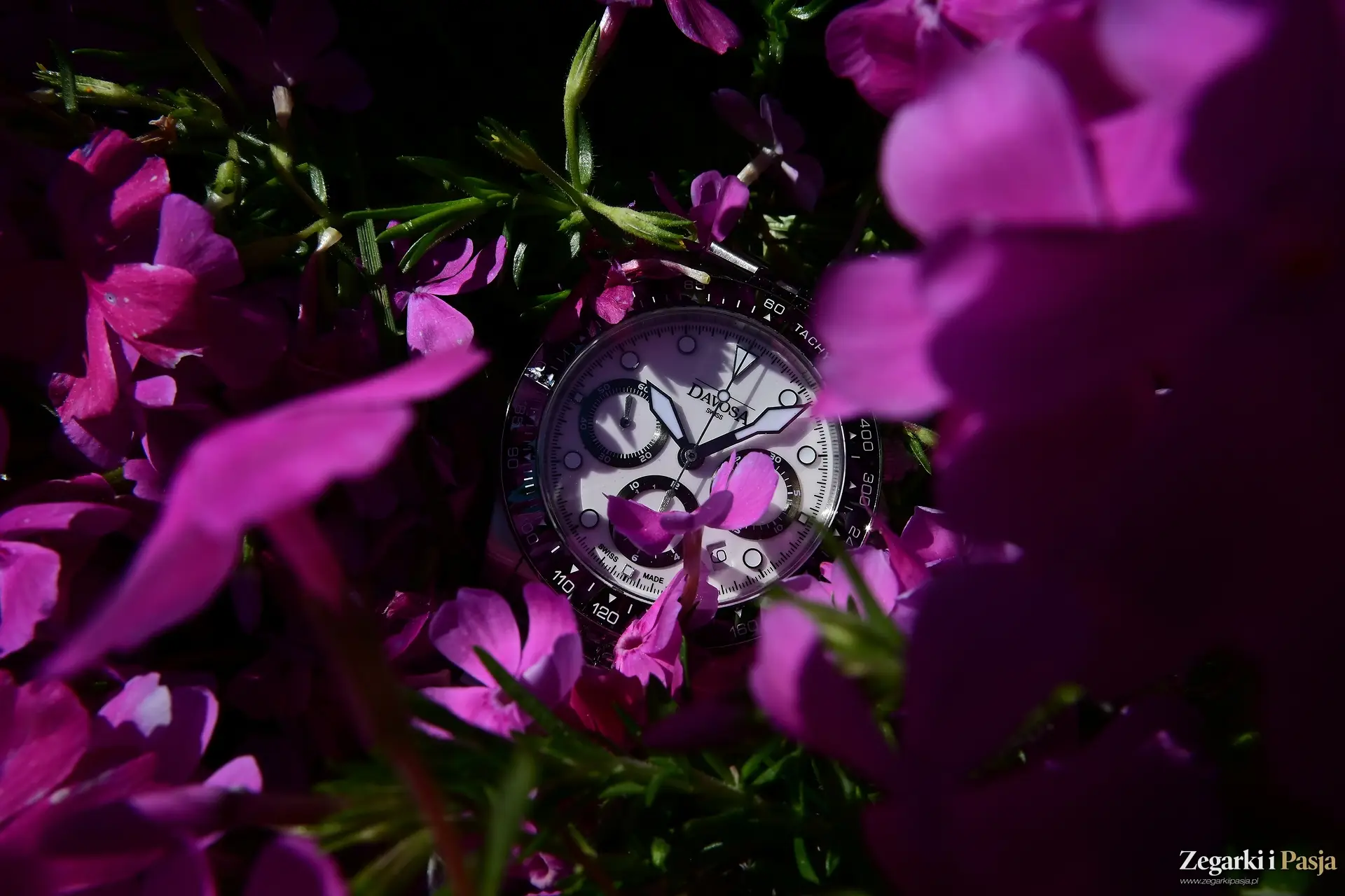 Recenzja: Davosa Ternos Professional Chronograph