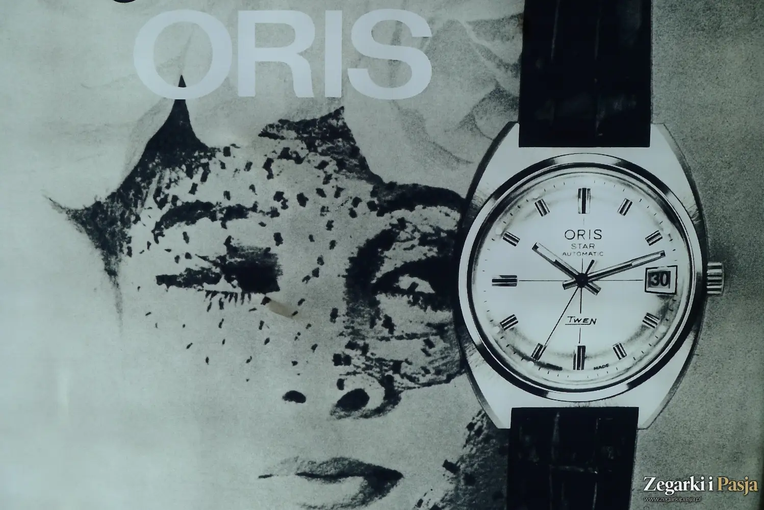 Oris Star Edition