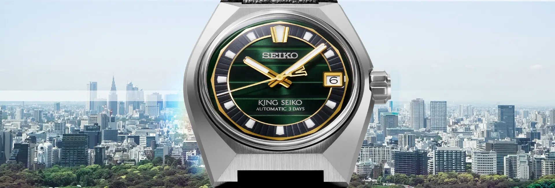 Symbioza miasta i natury