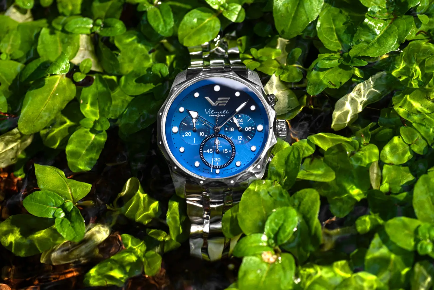 Vostok Europe Vilnelė. Duże, sportowe zegarki dla kobiet inspirowane naturą