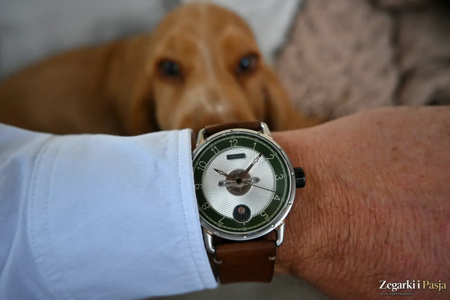 Recenzja: Timeless HMS 003. Charakterystyczny i rozpoznawalny na pierwszy rzut oka