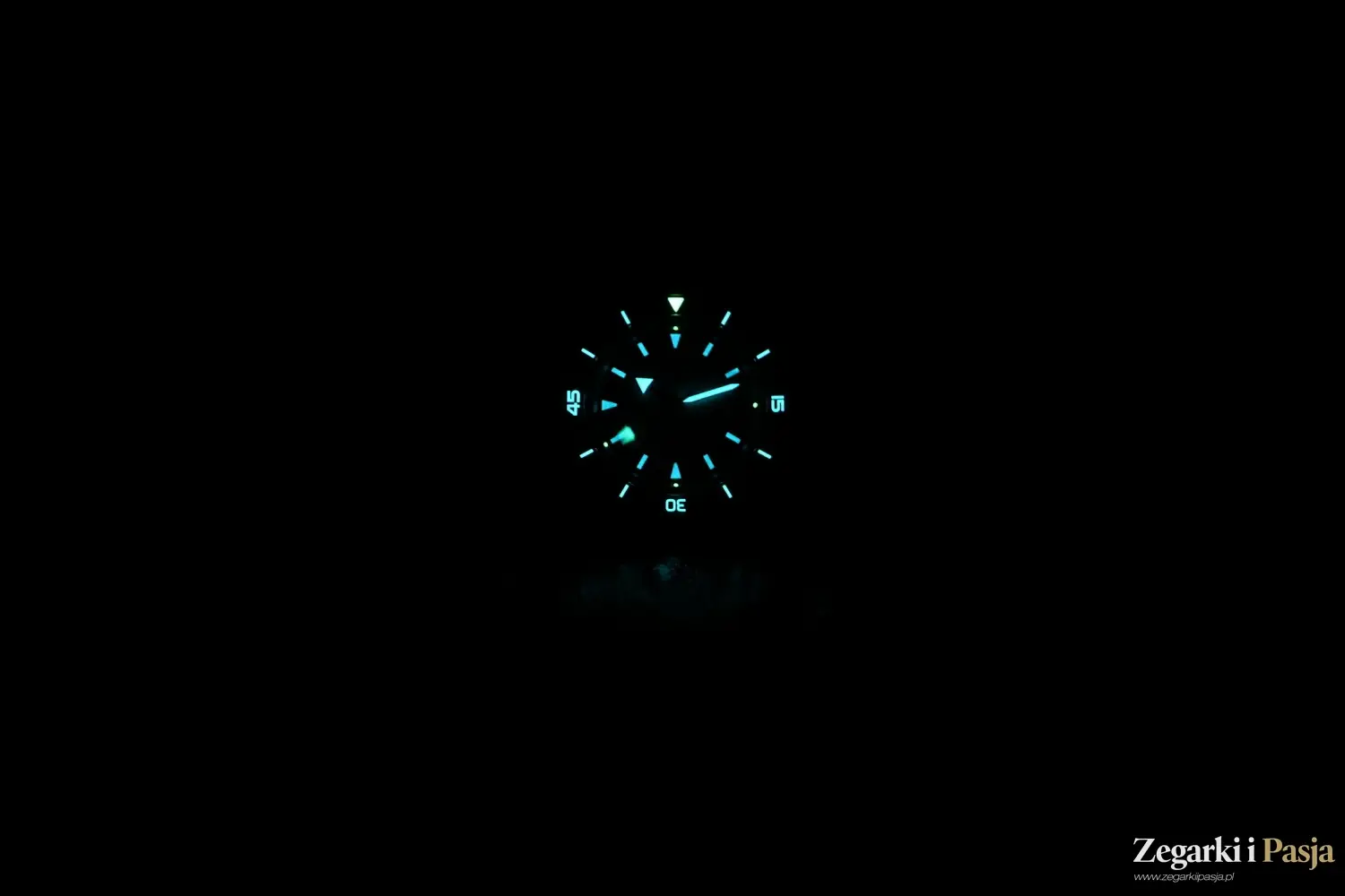 Recenzja: Rado Captain Cook x Tennis Limited Edition. Zegarek dla fanów tenisa