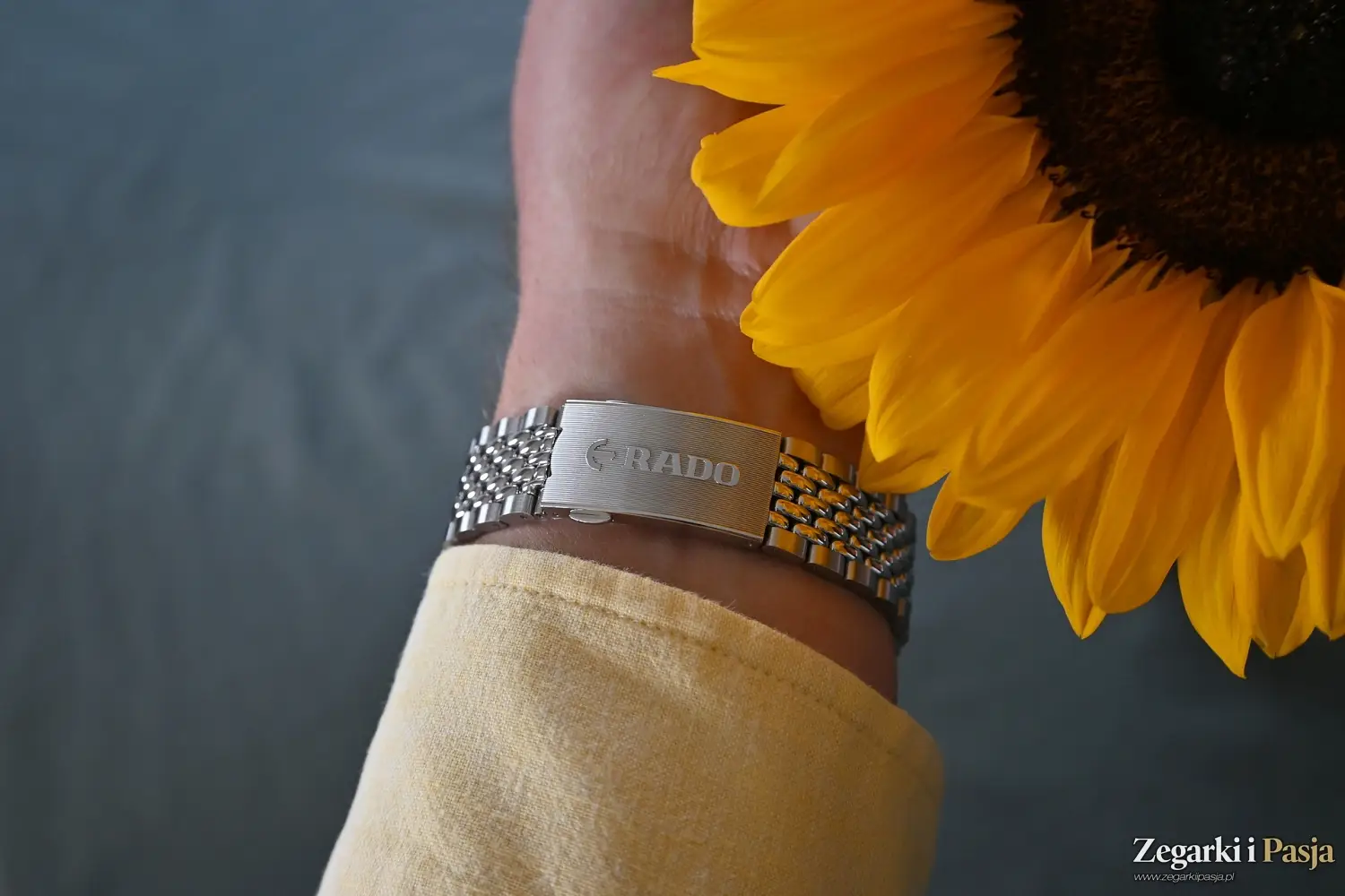 Recenzja: Rado Captain Cook x Tennis Limited Edition. Zegarek dla fanów tenisa