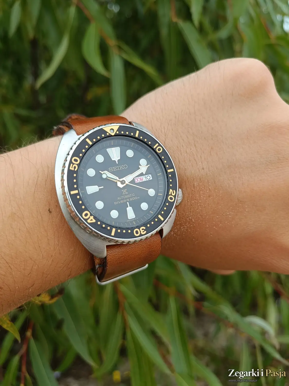 recenzja Seiko Prospex Turtle Automatic Diver's 200M SRP775