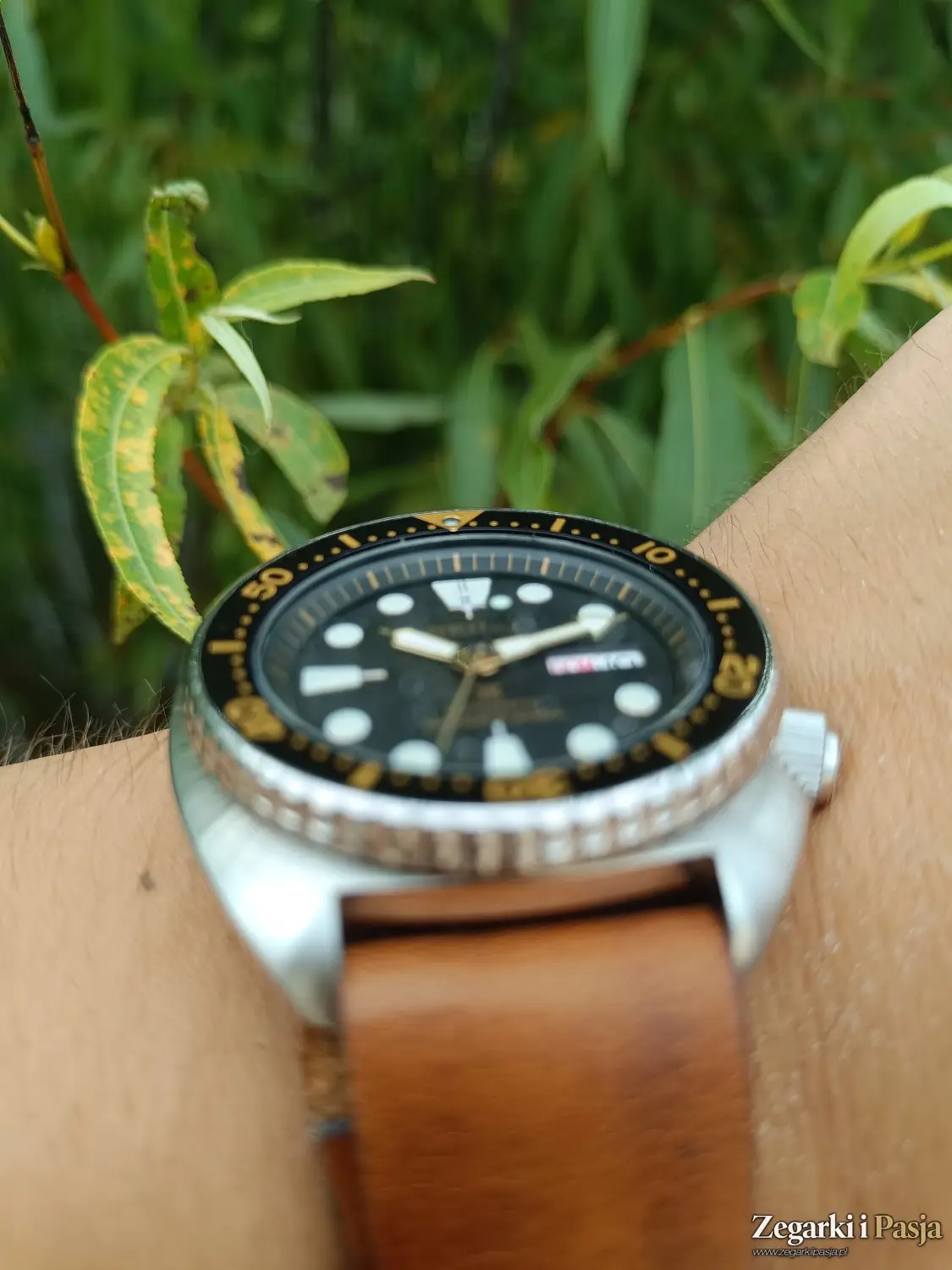 recenzja Seiko Prospex Turtle Automatic Diver's 200M SRP775