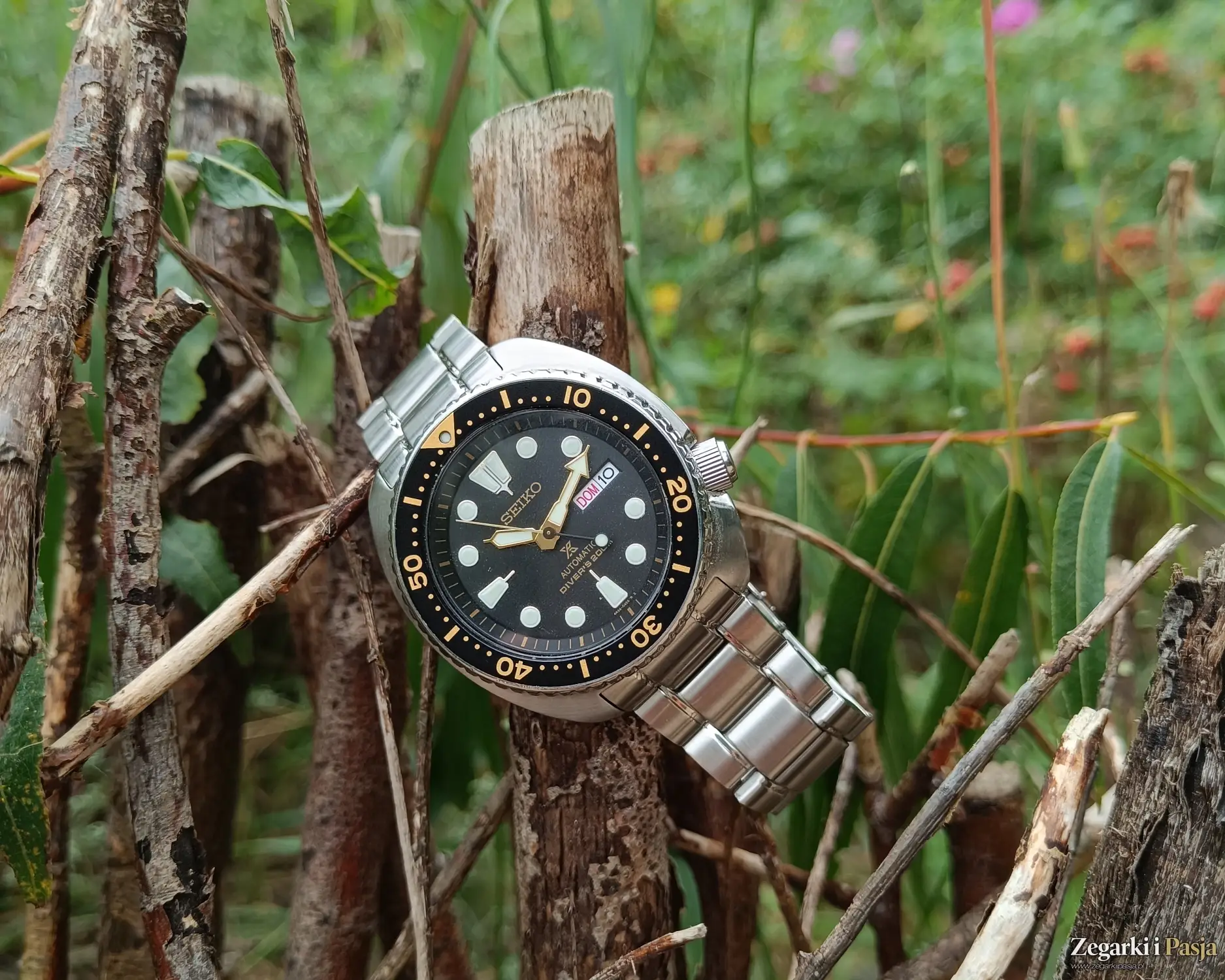 recenzja Seiko Prospex Turtle Automatic Diver's 200M SRP775