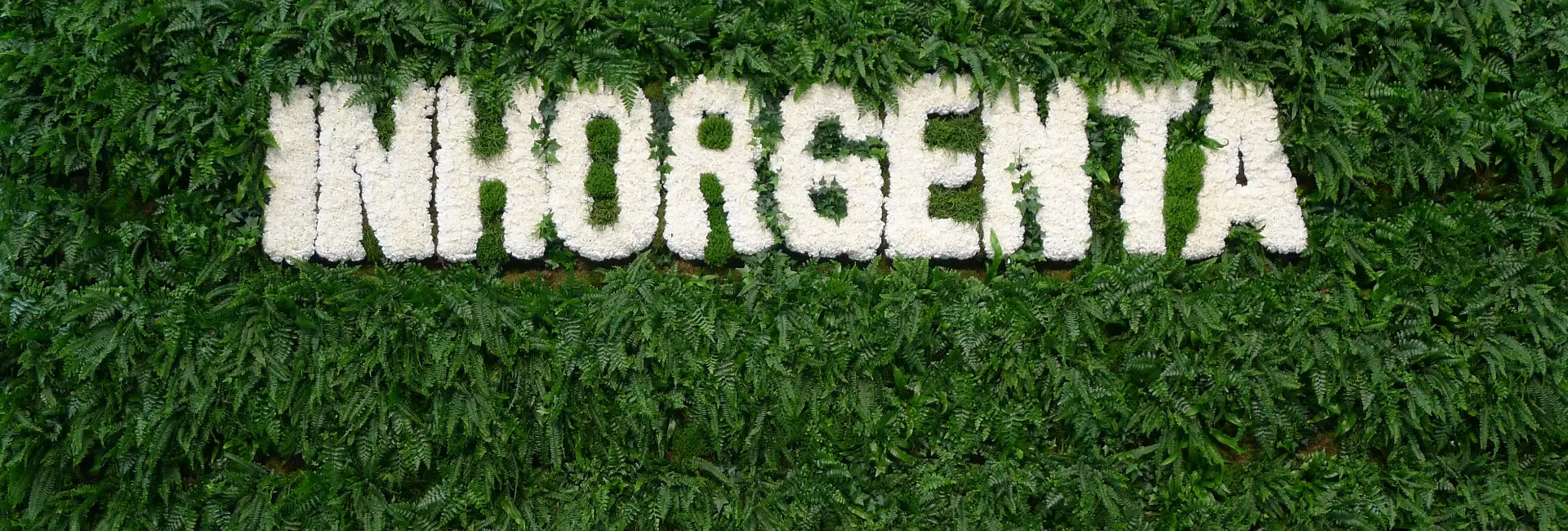 Inhorgenta 2026. Widać progres!