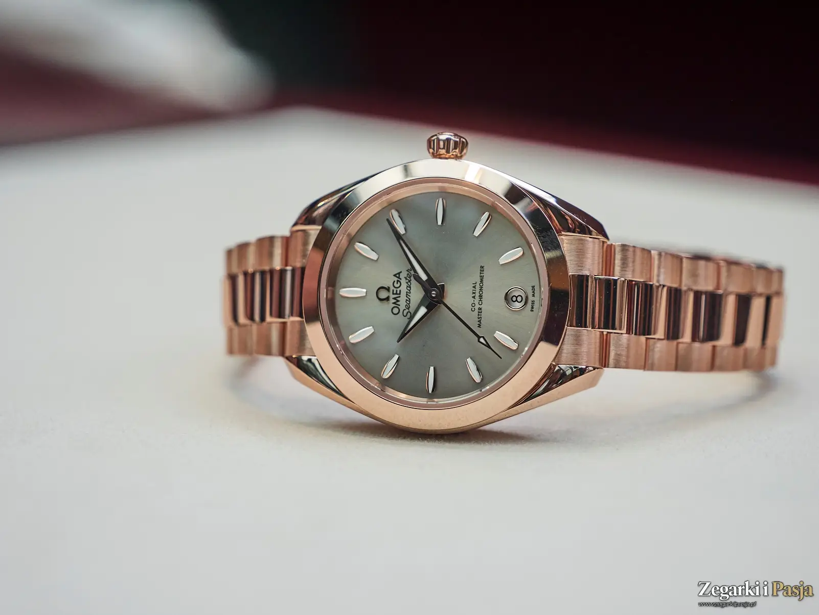 Relacja: Polska premiera zegarków Omega z linii Seamaster Aqua Terra 30 mm