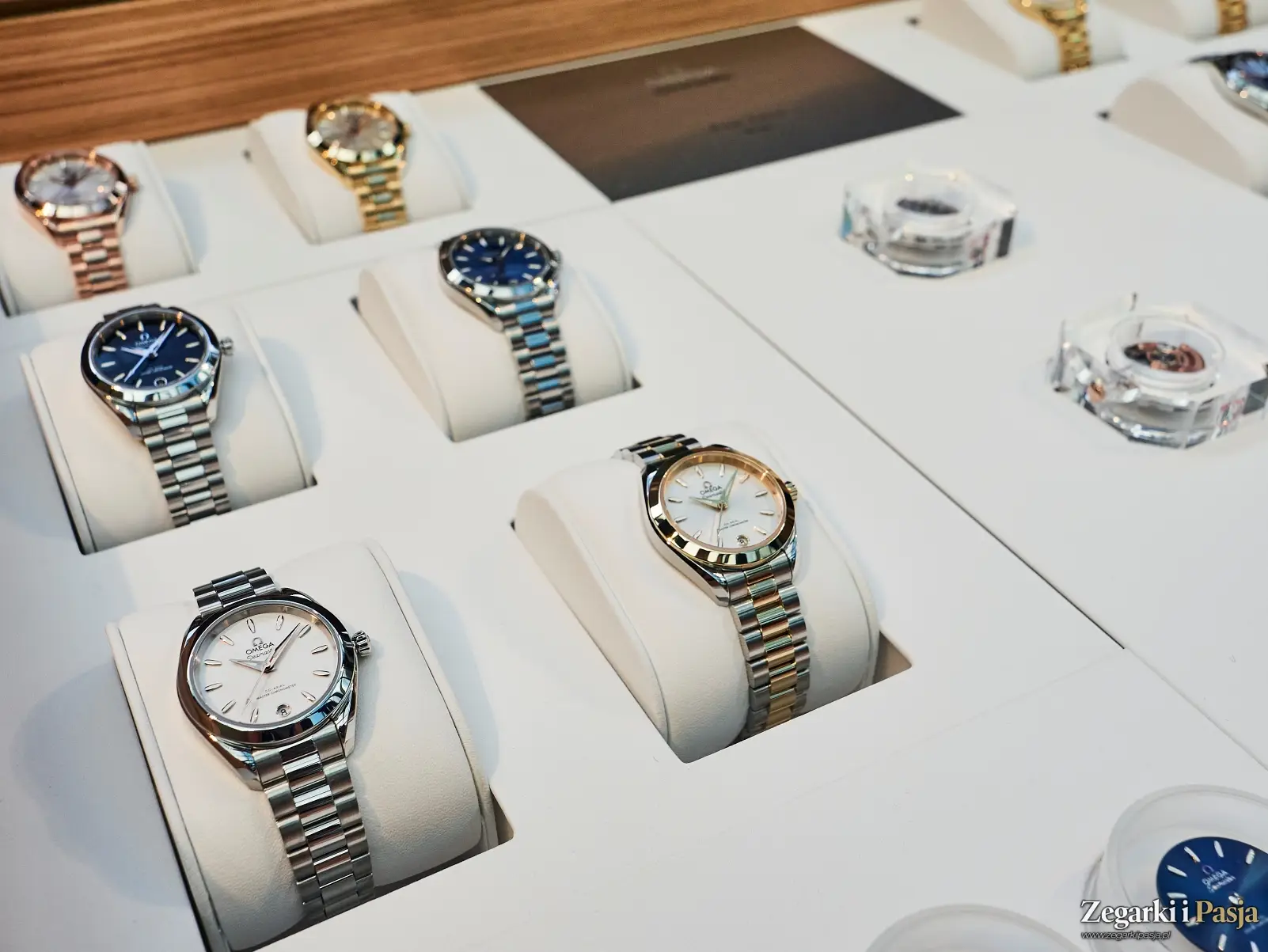 Relacja: Polska premiera zegarków Omega z linii Seamaster Aqua Terra 30 mm
