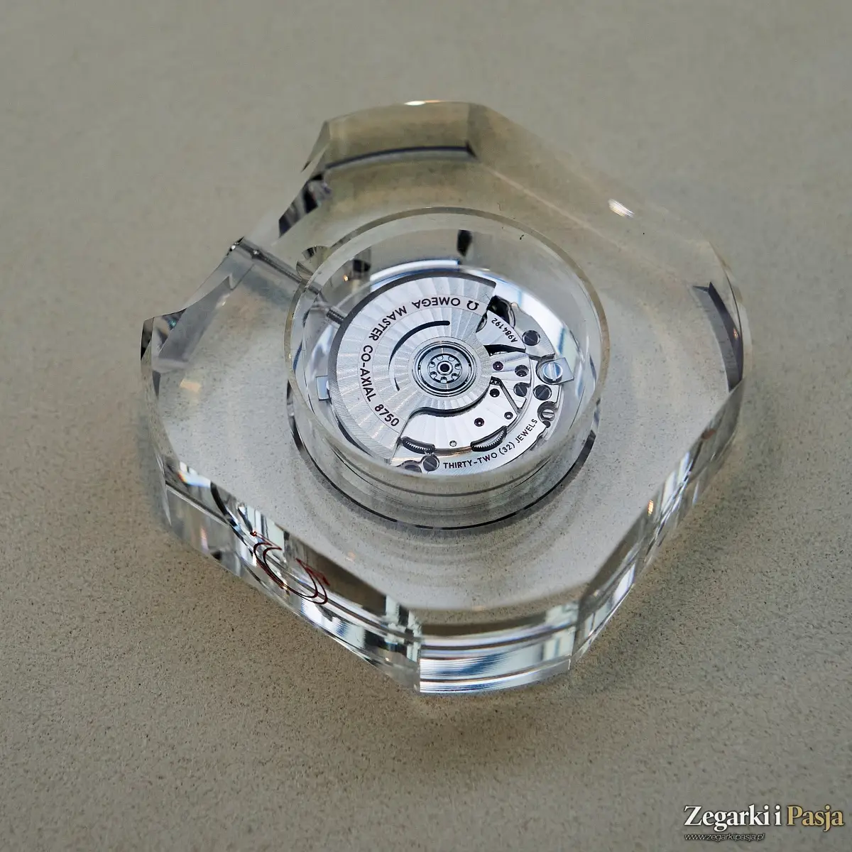 Relacja: Polska premiera zegarków Omega z linii Seamaster Aqua Terra 30 mm