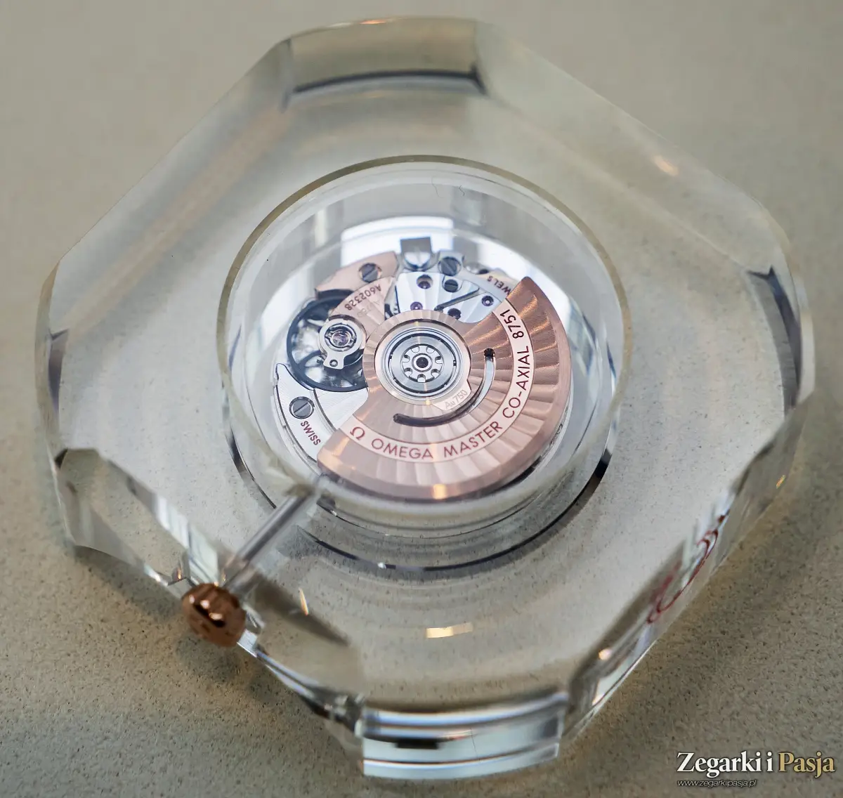 Relacja: Polska premiera zegarków Omega z linii Seamaster Aqua Terra 30 mm