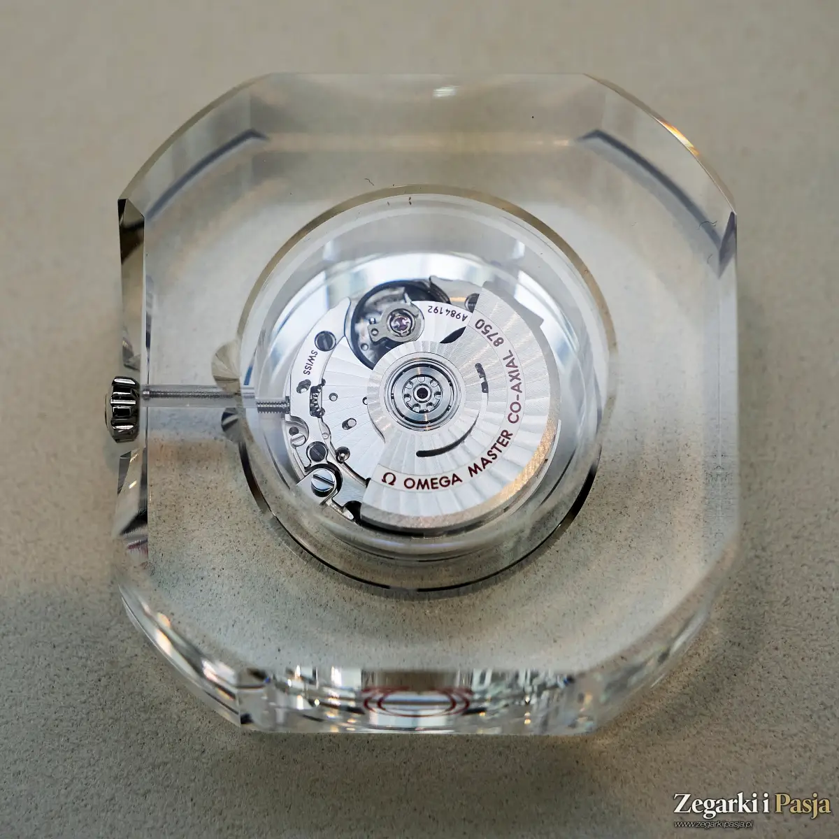 Relacja: Polska premiera zegarków Omega z linii Seamaster Aqua Terra 30 mm