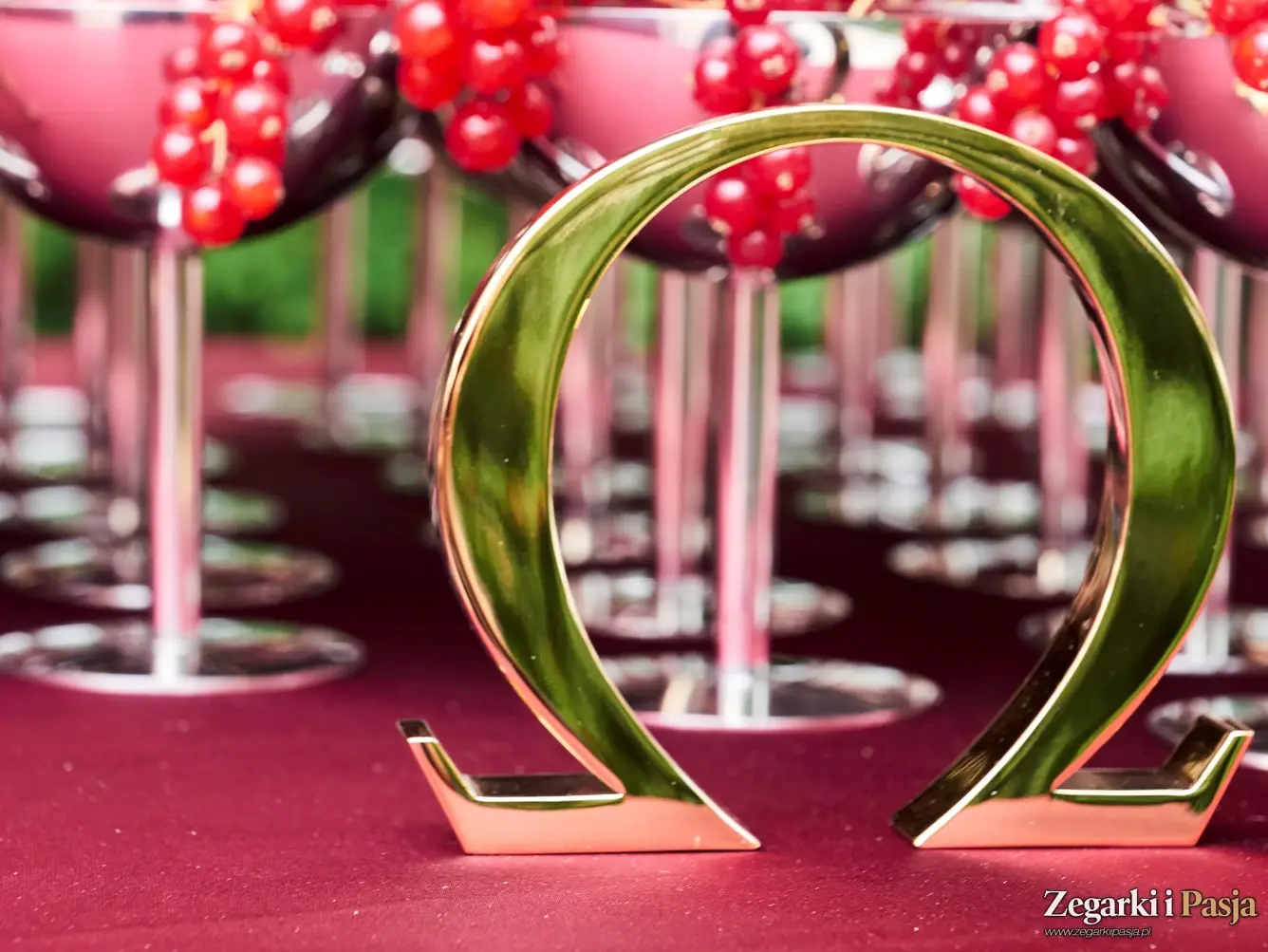 Relacja: Polska premiera zegarków Omega z linii Seamaster Aqua Terra 30 mm