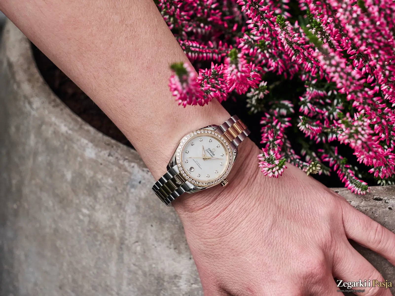 Relacja: Polska premiera zegarków Omega z linii Seamaster Aqua Terra 30 mm