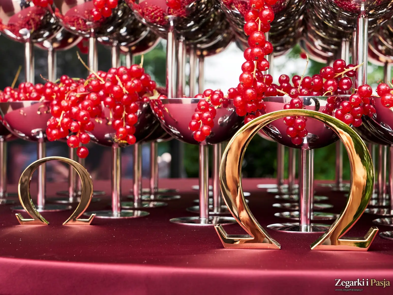 Relacja: Polska premiera zegarków Omega z linii Seamaster Aqua Terra 30 mm