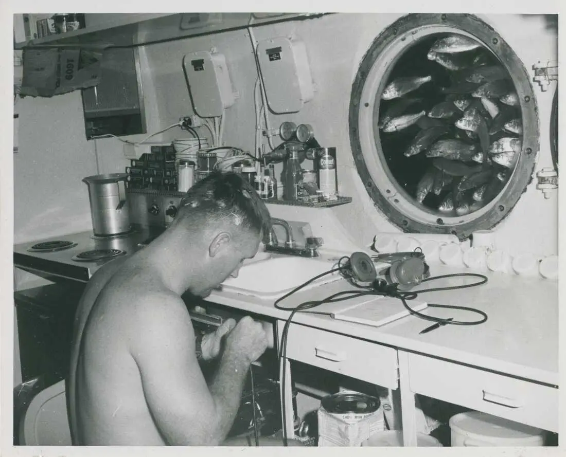 Od DS do DS Concept Extreme Shock Resistance. Historia i ewolucja systemu Certiny