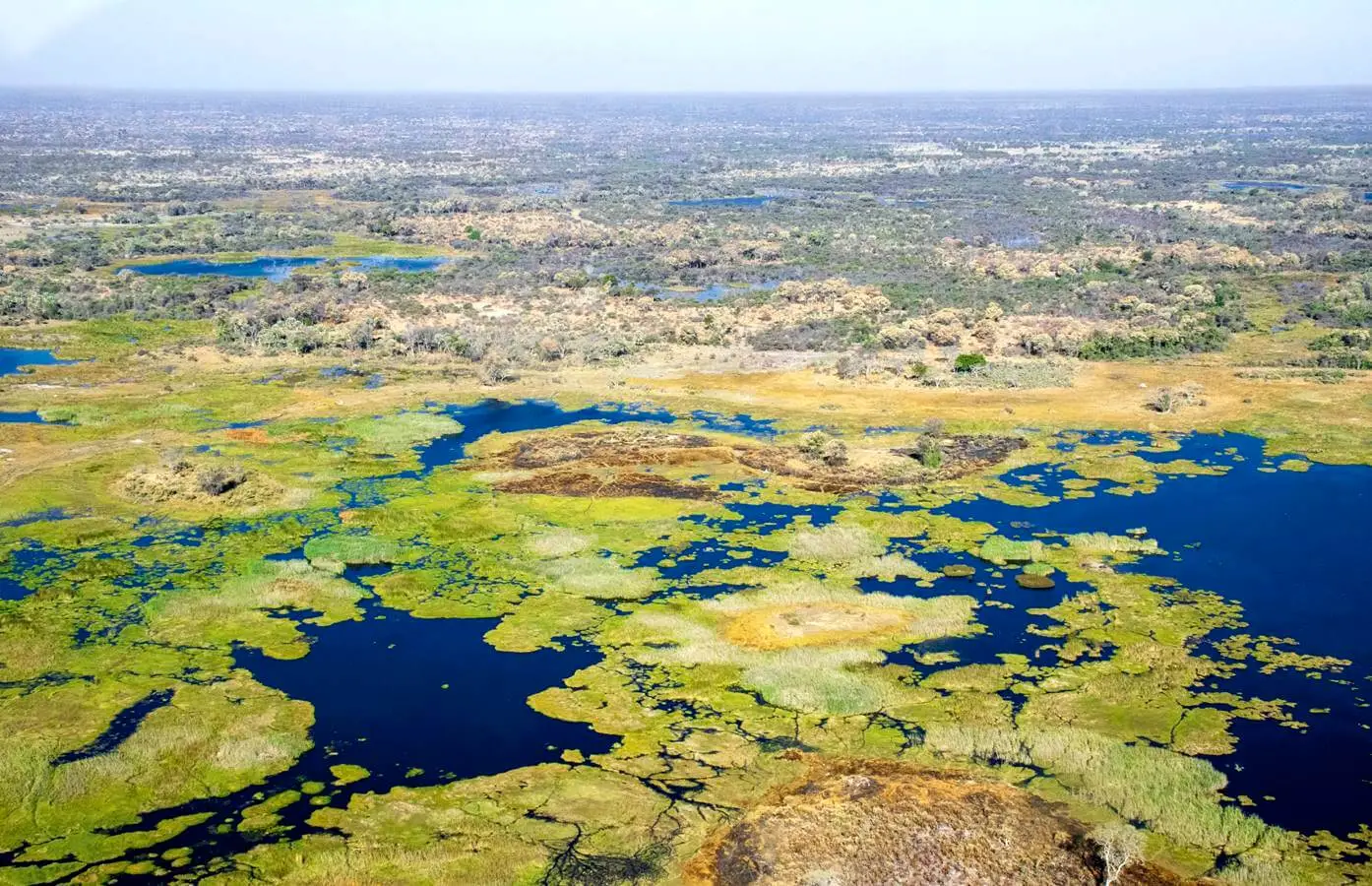 Oris Big Crown ProPilot Okavango Air Rescue Limited Edition - ahoj przygodo!