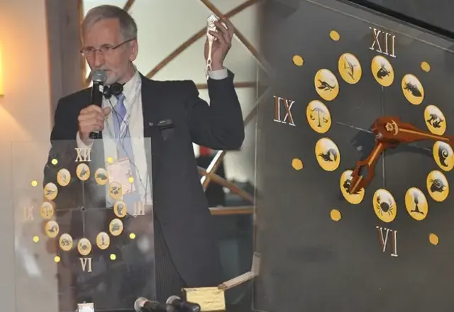 Magiczny zegar dla Olliwandera