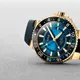 ORIS Carysfort Reef Gold Limited Ed...